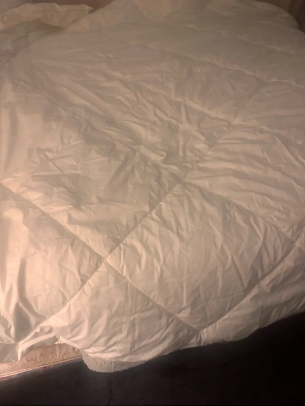 Queen  White Down Alternative Comforter - Soft cotton Bedding